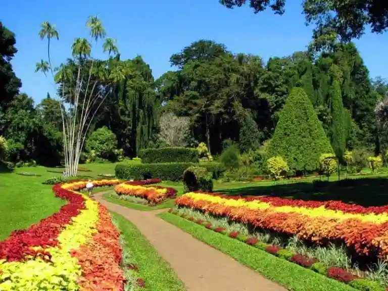 family summer break tour package from magical isle holidays, a travel agency based in new south wales australia with hassle free booking