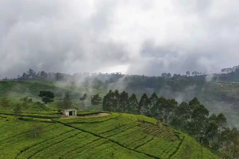 Hideouts Sri Lanka tour package from magical isle holidays, a travel agency based in new south wales australia with hassle free booking